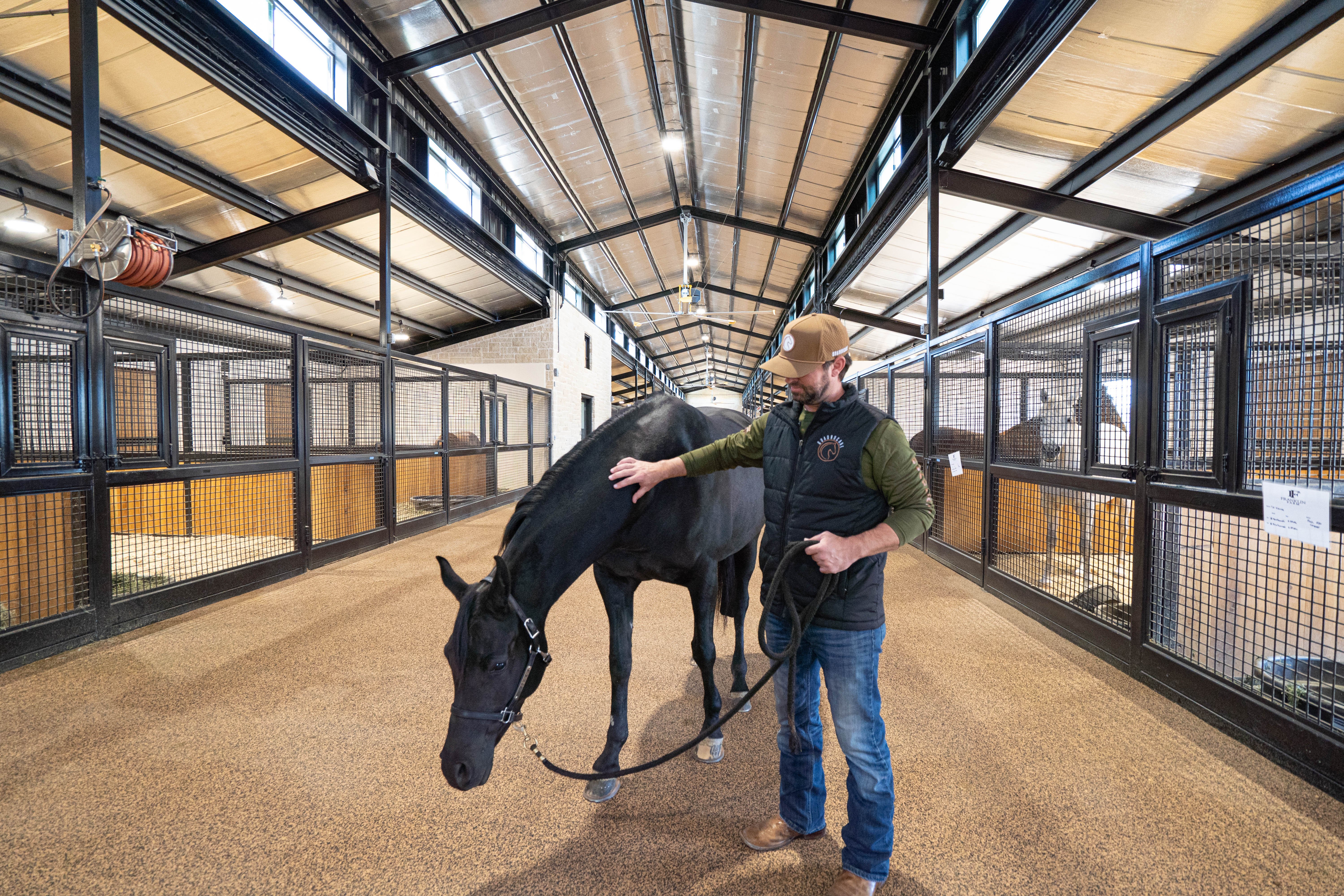 Franklin Farm — Horse on Surface